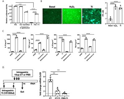 Mucosal Immunoregulatory Properties of Tsukamurella inchonensis to Reverse Experimental Food Allergy